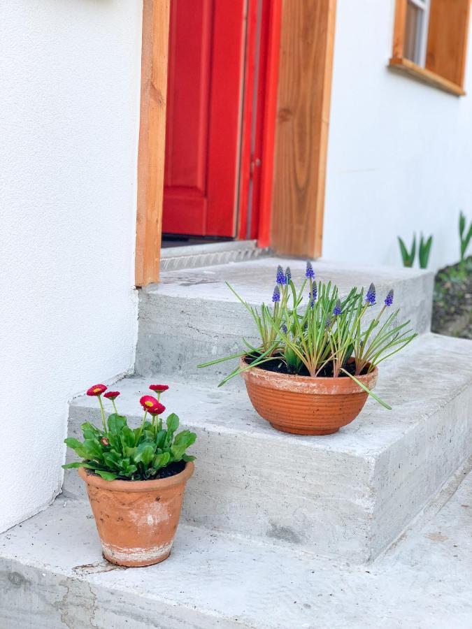 Ferienhaus Feni Neckargemünd Exterior foto